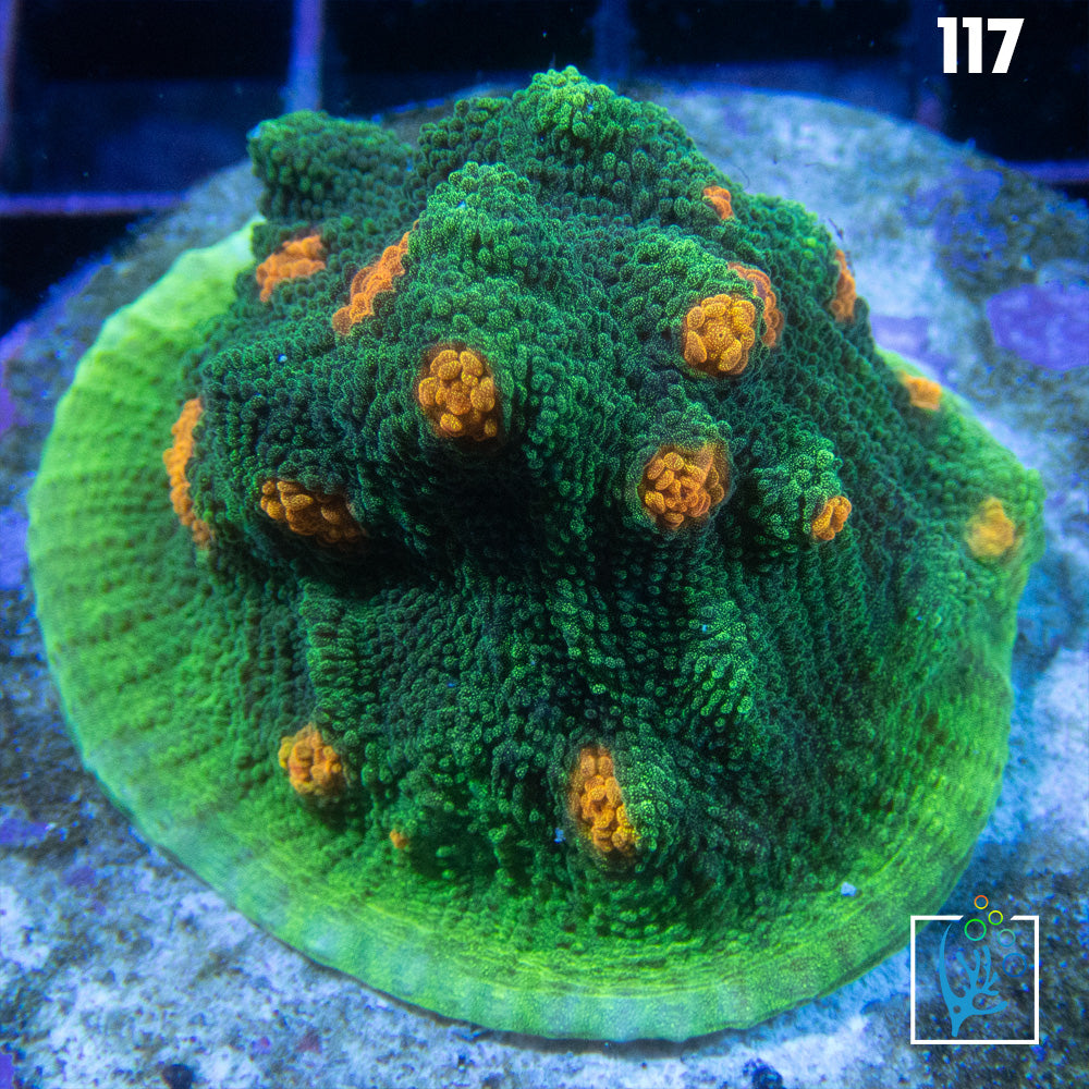 Space Invader Chalice