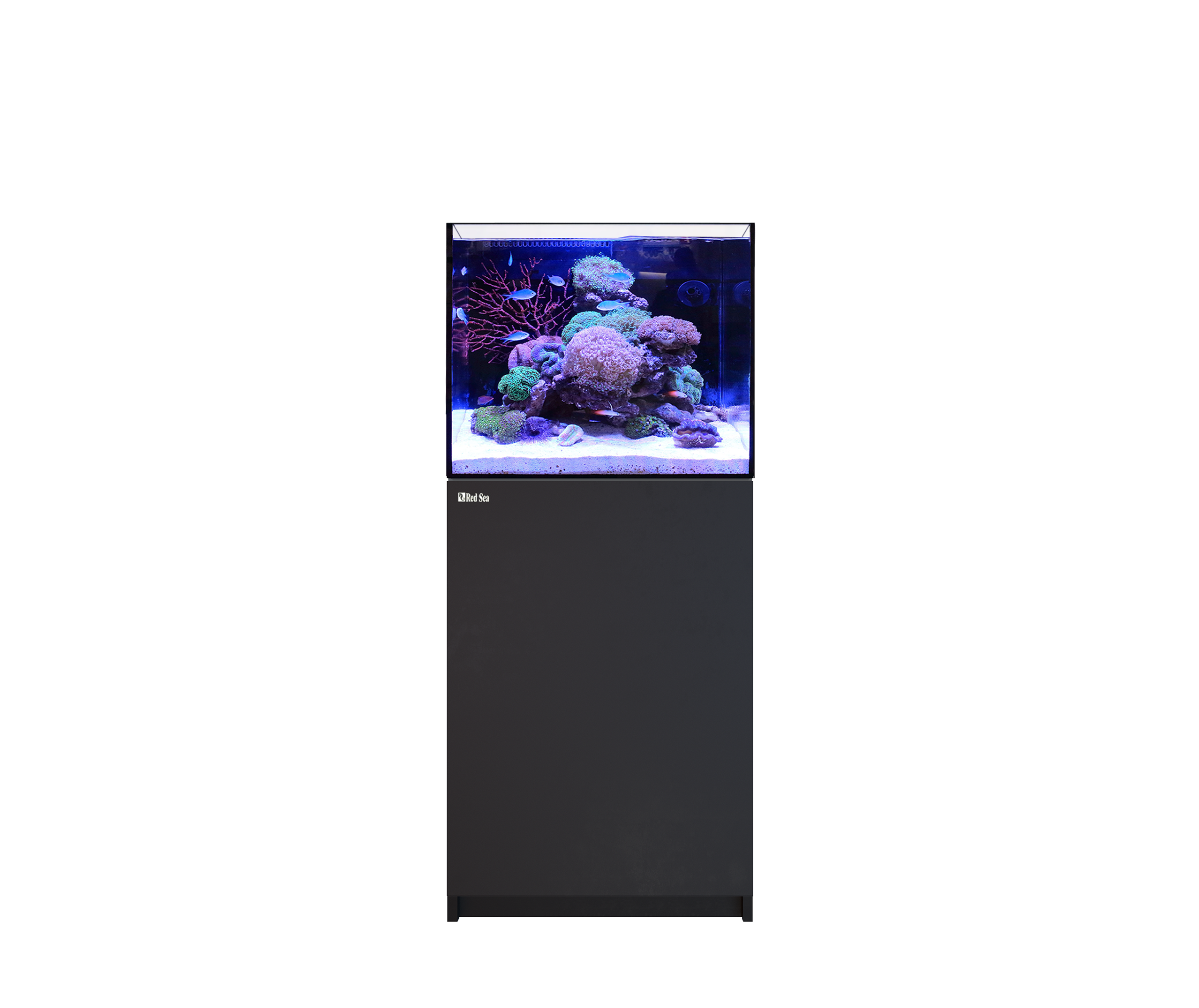 REEFER 170 G3 Black