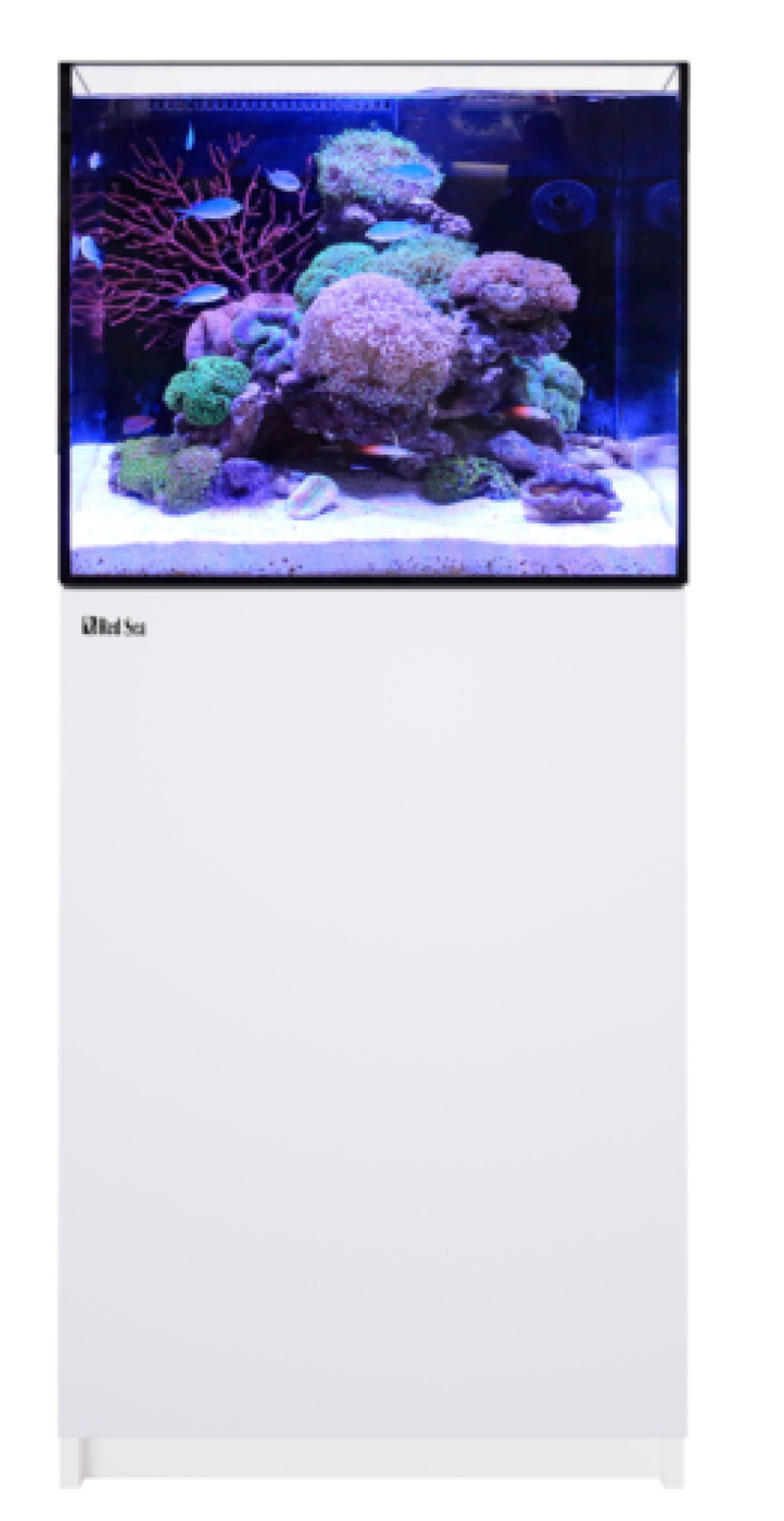 REEFER 170 G3 White