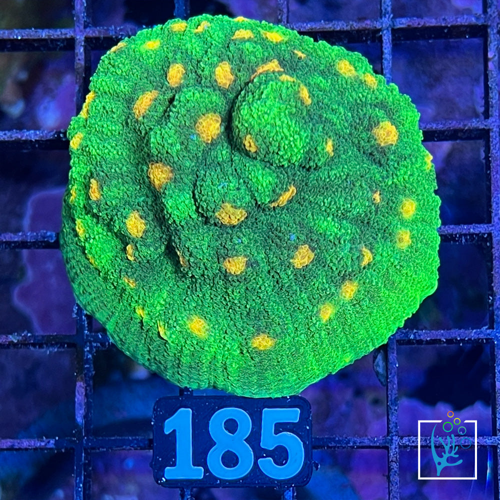 Space Invader Chalice