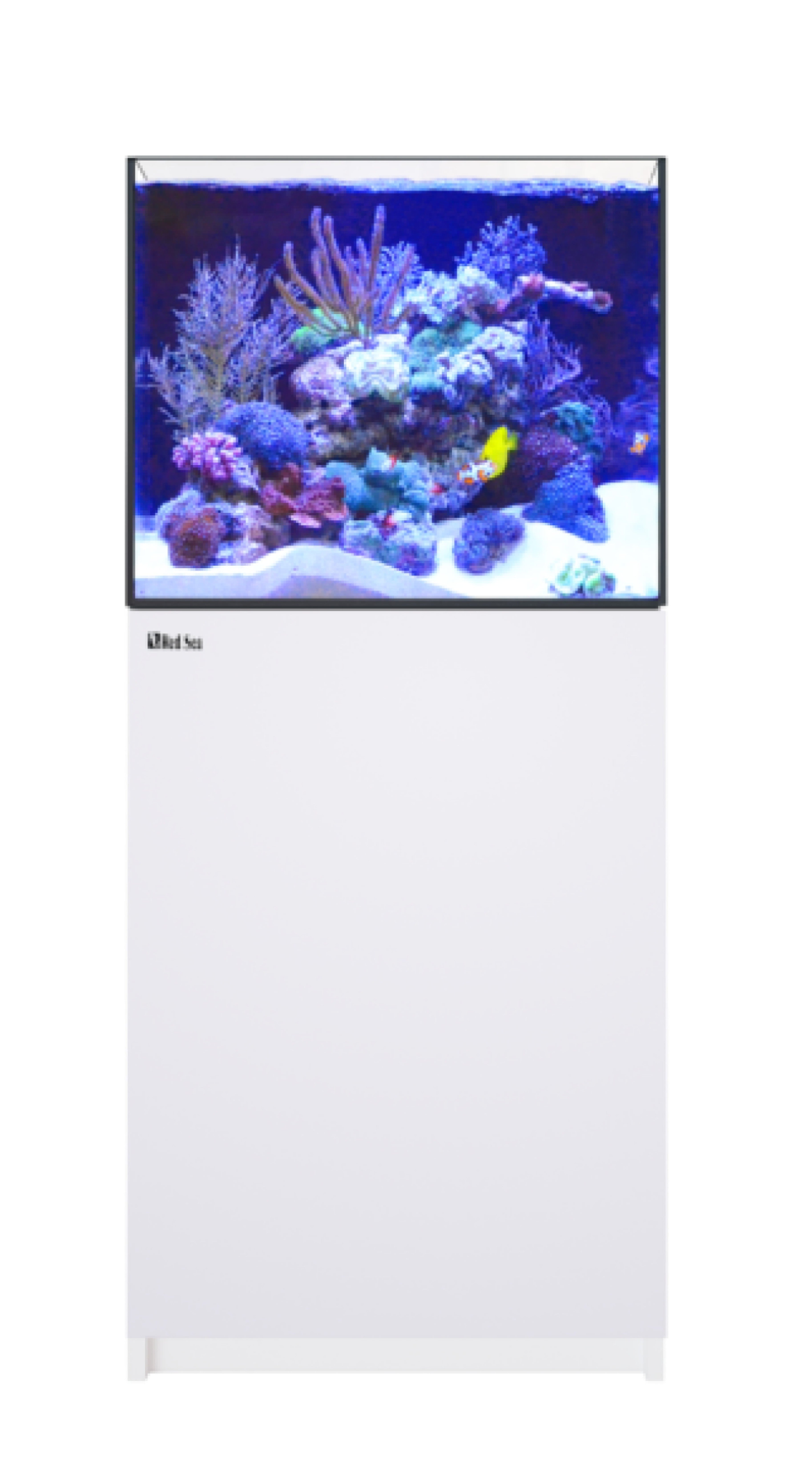 REEFER 200 G3 White