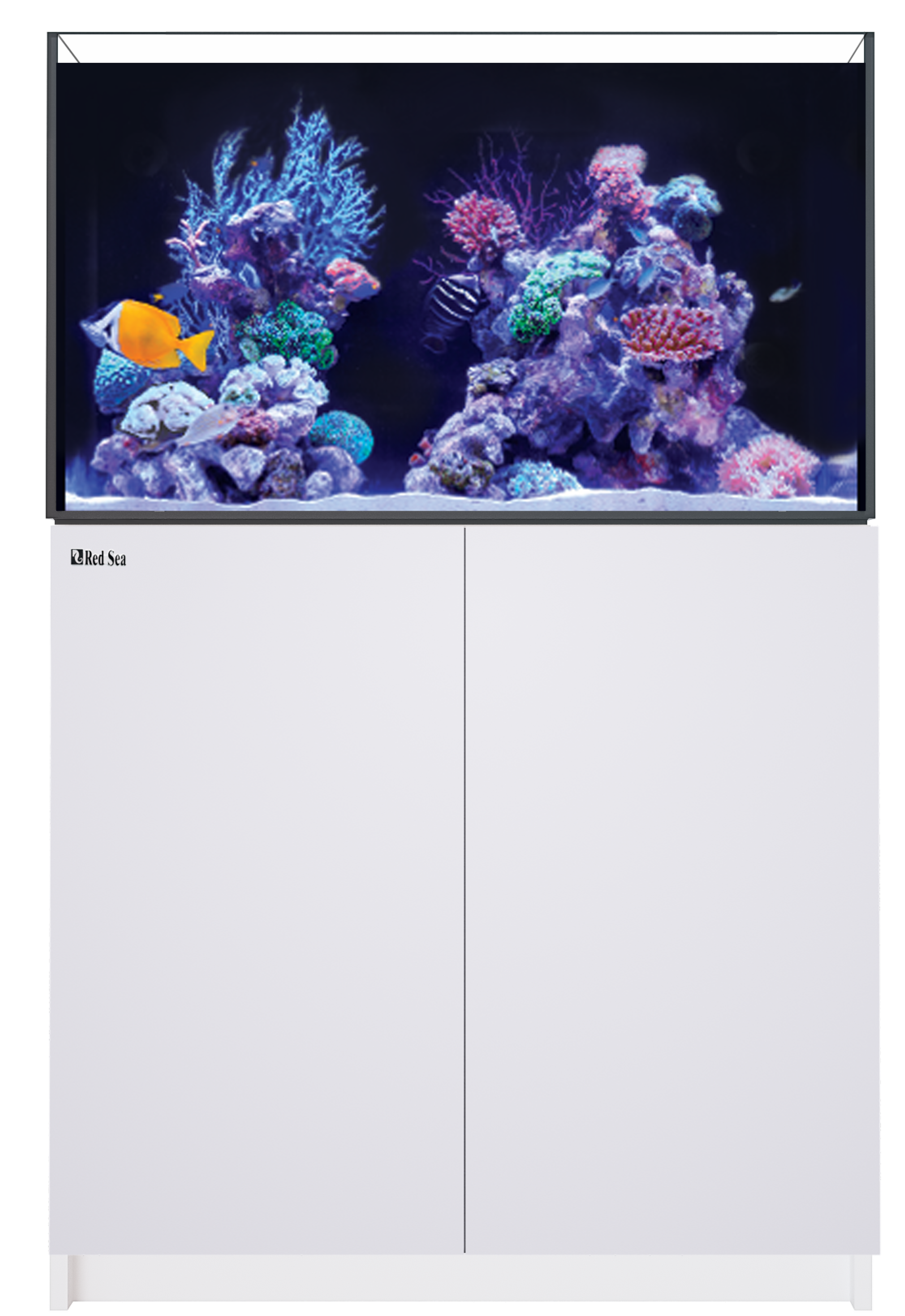 REEFER 250 G3 WHITE