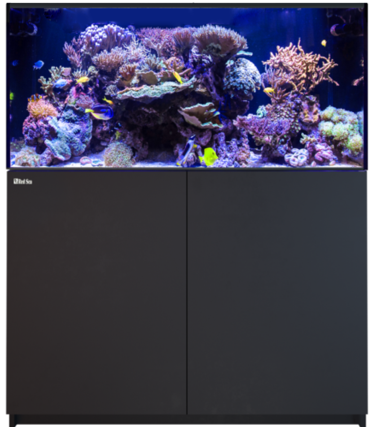 Red Sea Reefer 425 G3 - Black