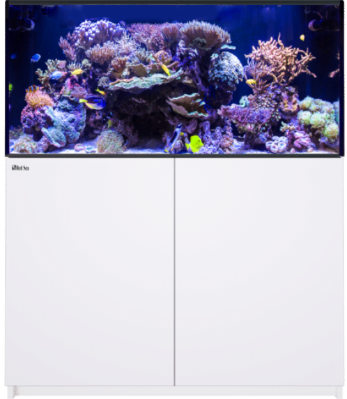 Red Sea Reefer 425 G3 - White