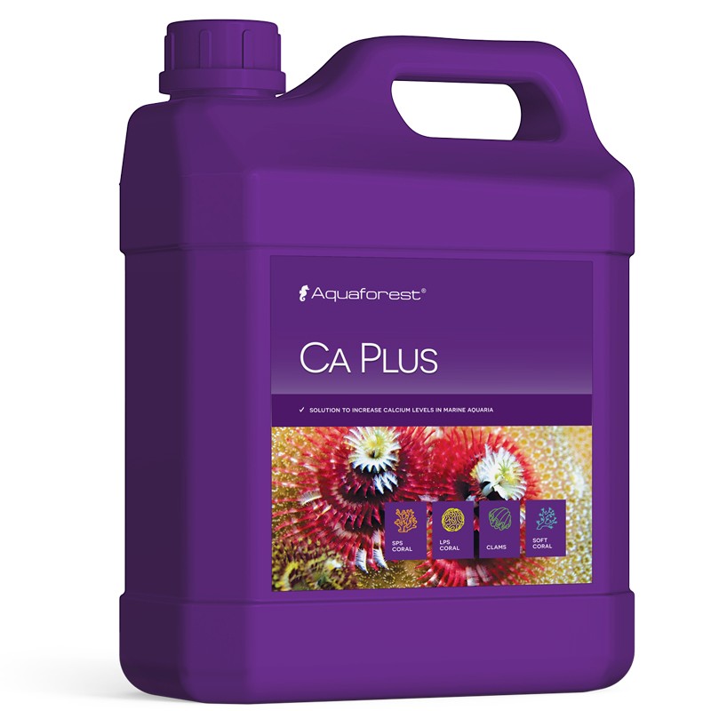 Ca Plus