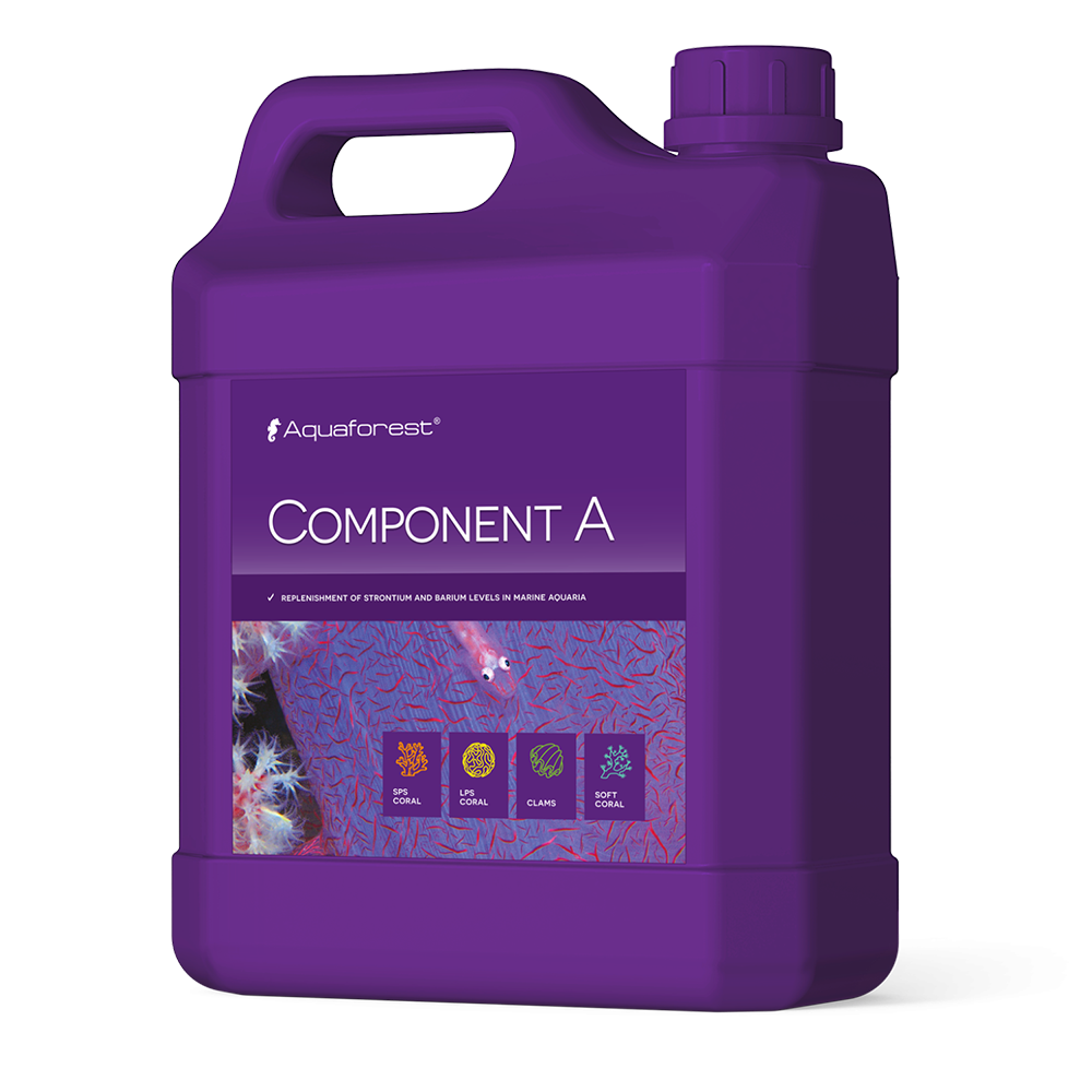 Component A