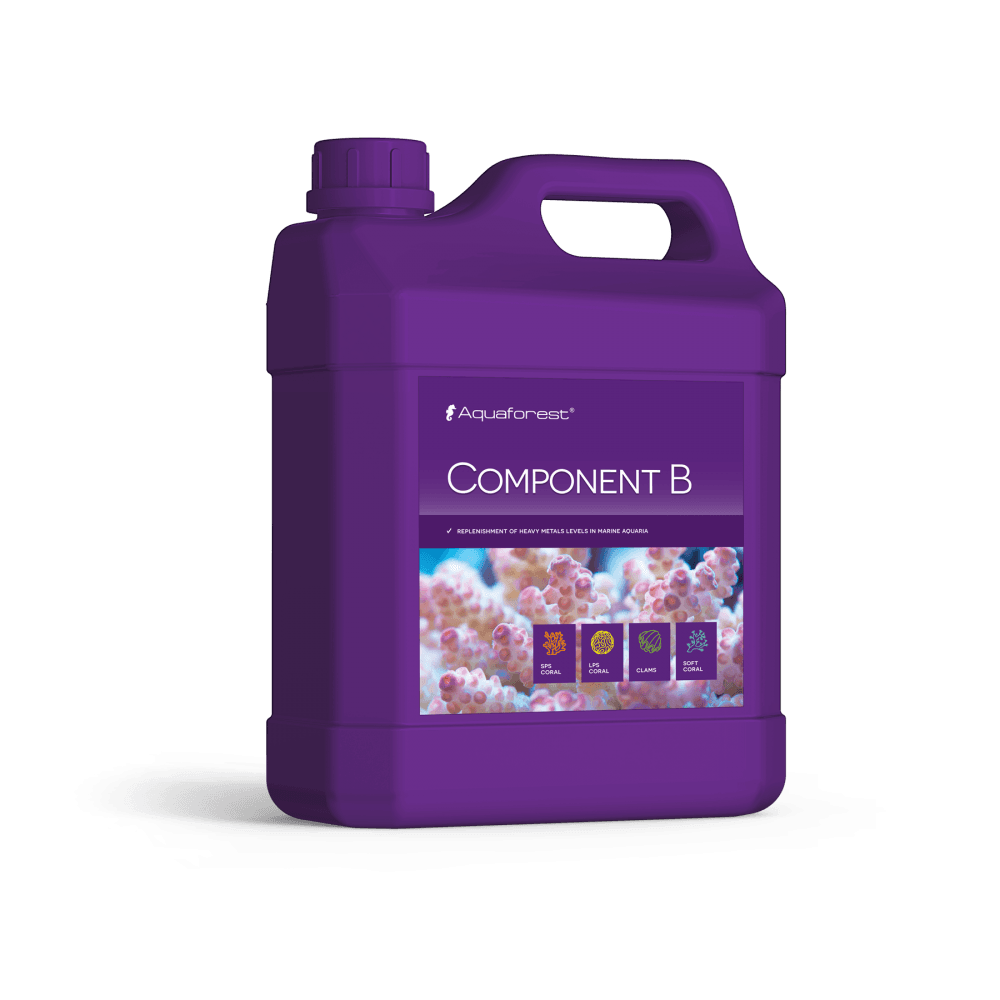 Component B