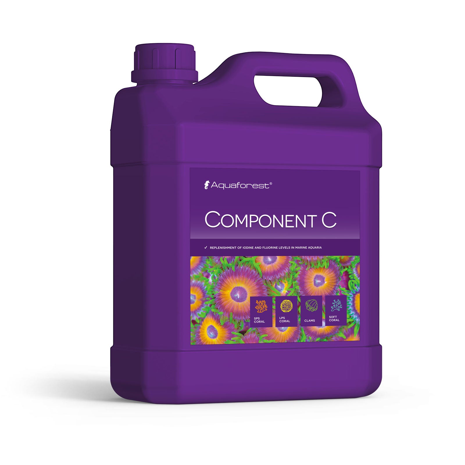 Component C