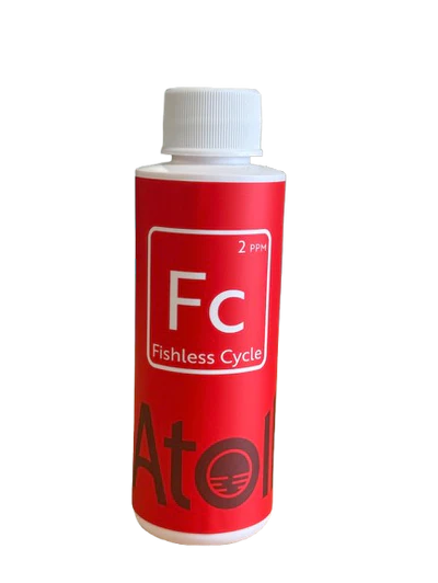 Fishless Cycle