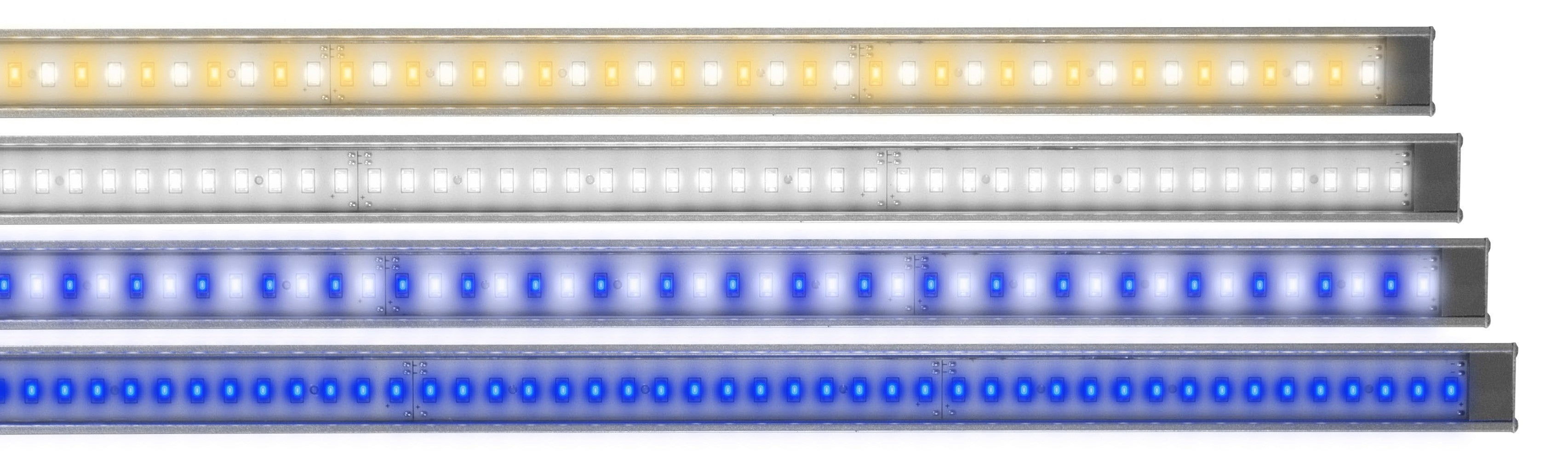 Lumi Lite LED