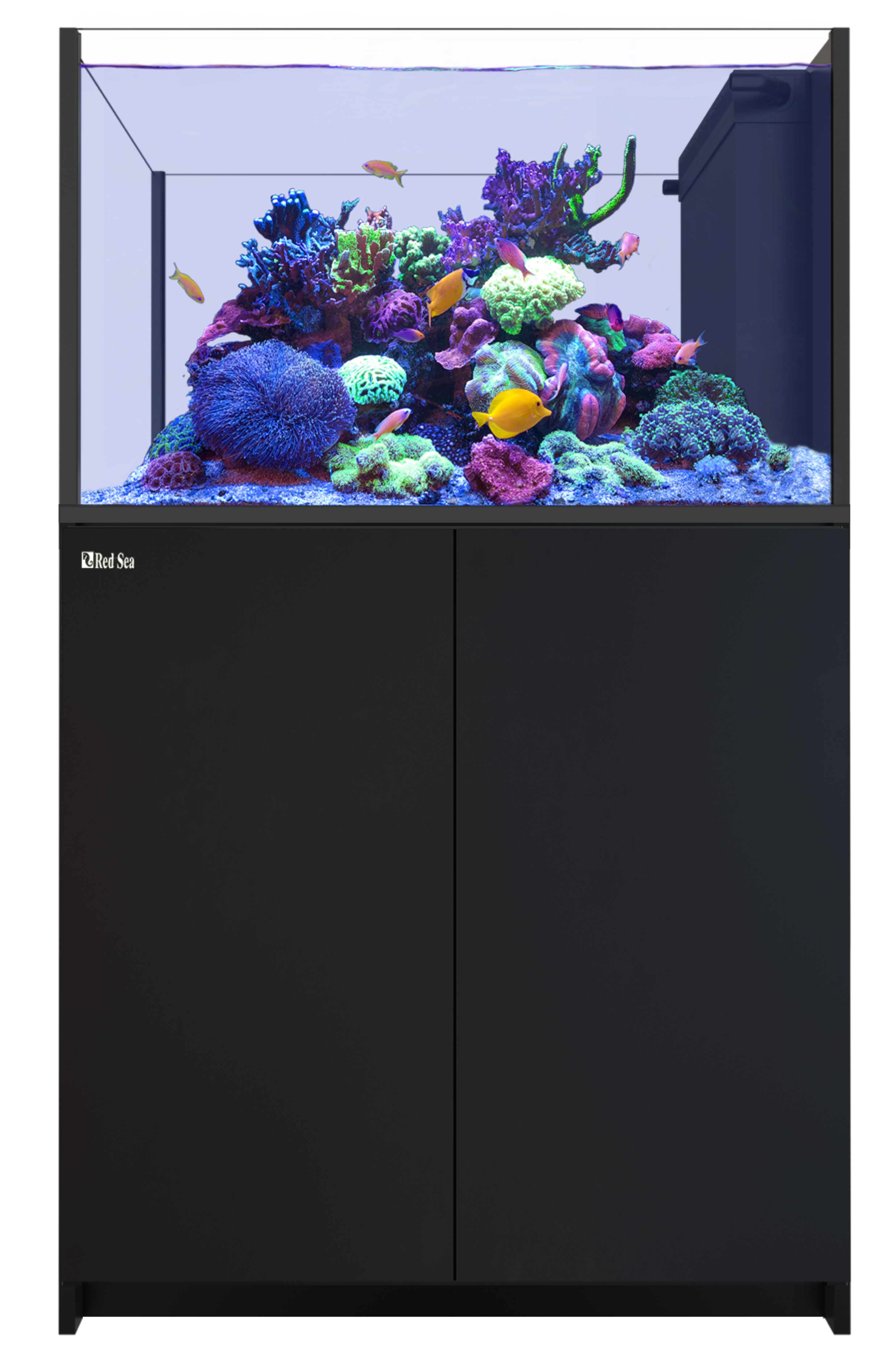 Red Sea Reefer Peninsula 350 G3 - Black