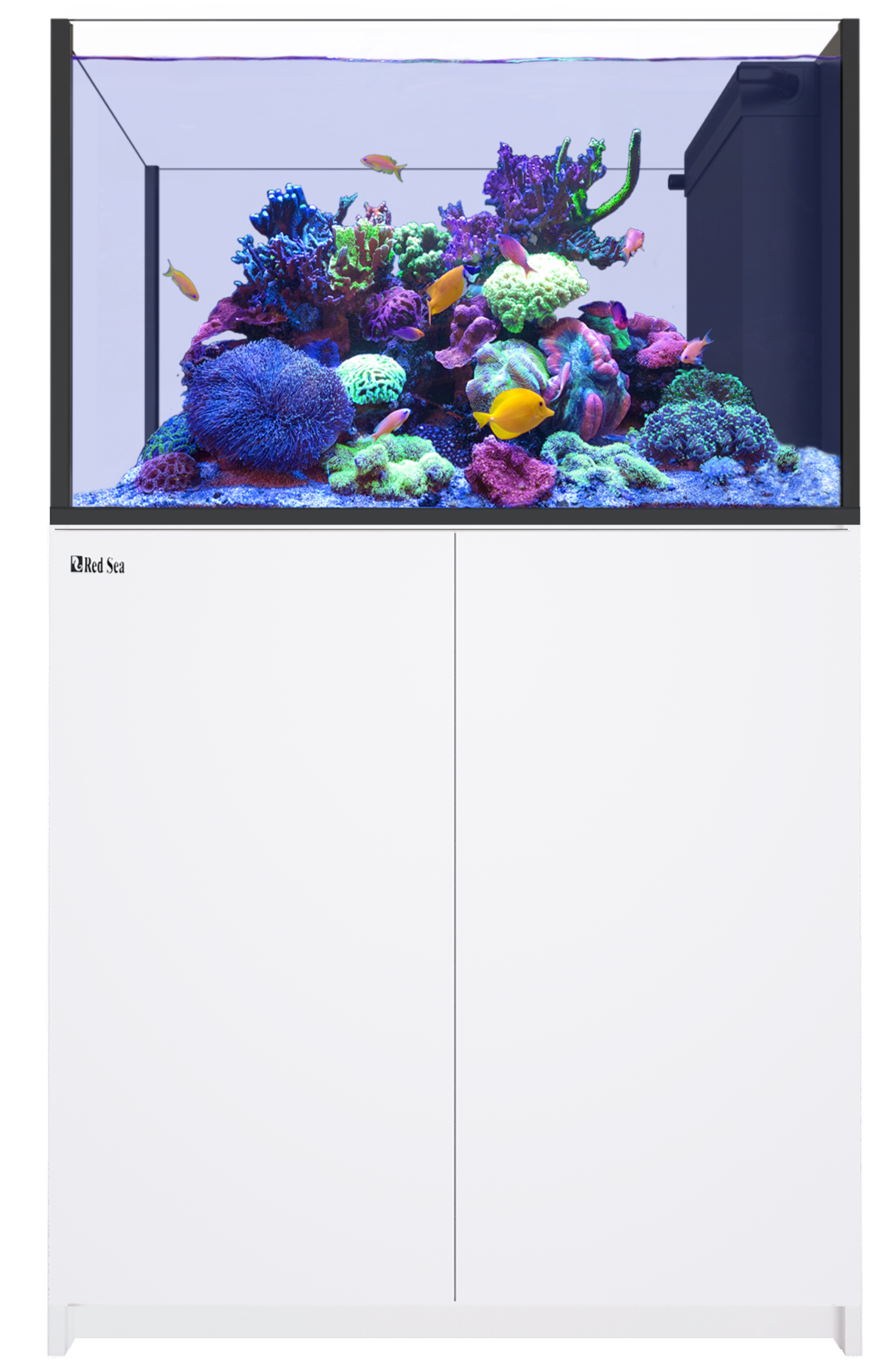 Red Sea Reefer Peninsula 350 G3 - White