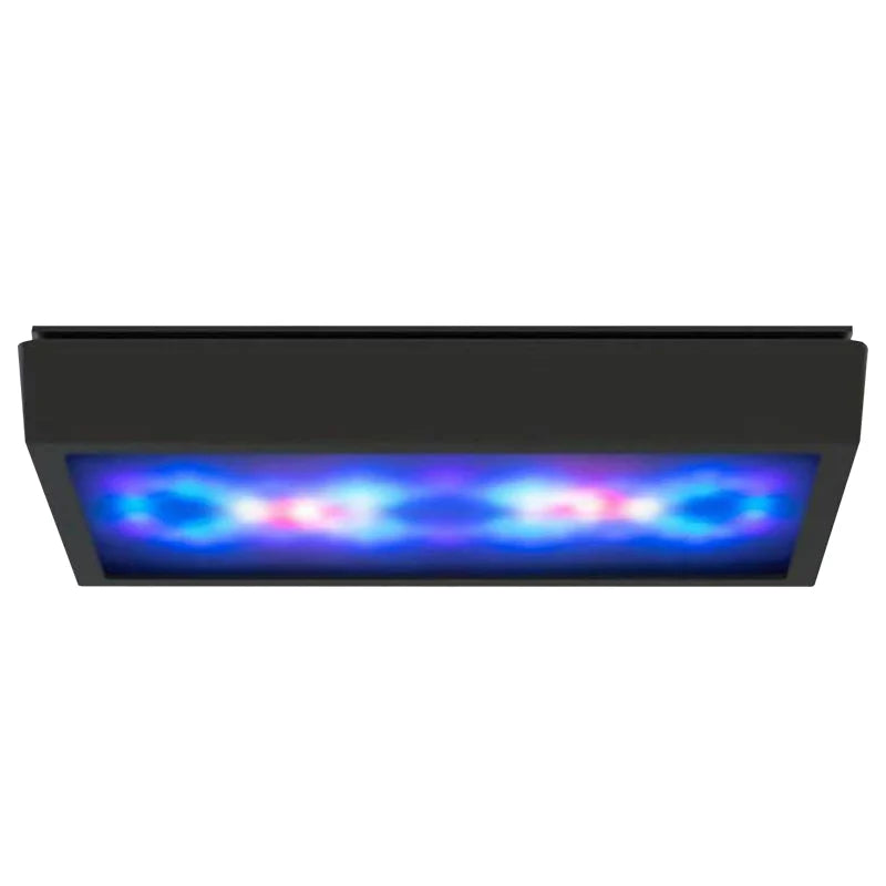 Radion XR G5/G6 Diffuser