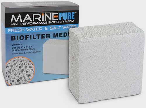 Biofilter Media Block 8" x 8" x 4"