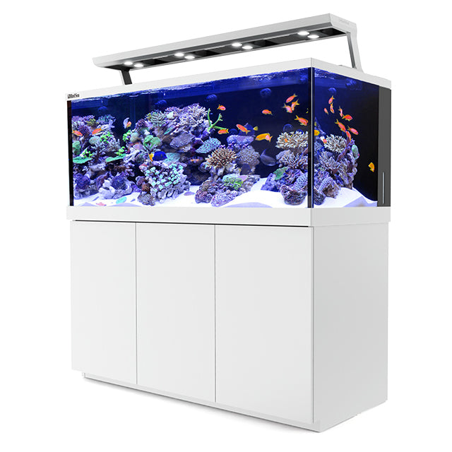 Max S 650 ReefLED Complete Reef System