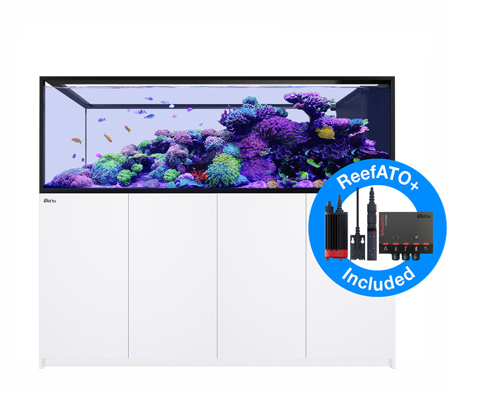 Red Sea Reefer Peninsula G2+ S-950 - White