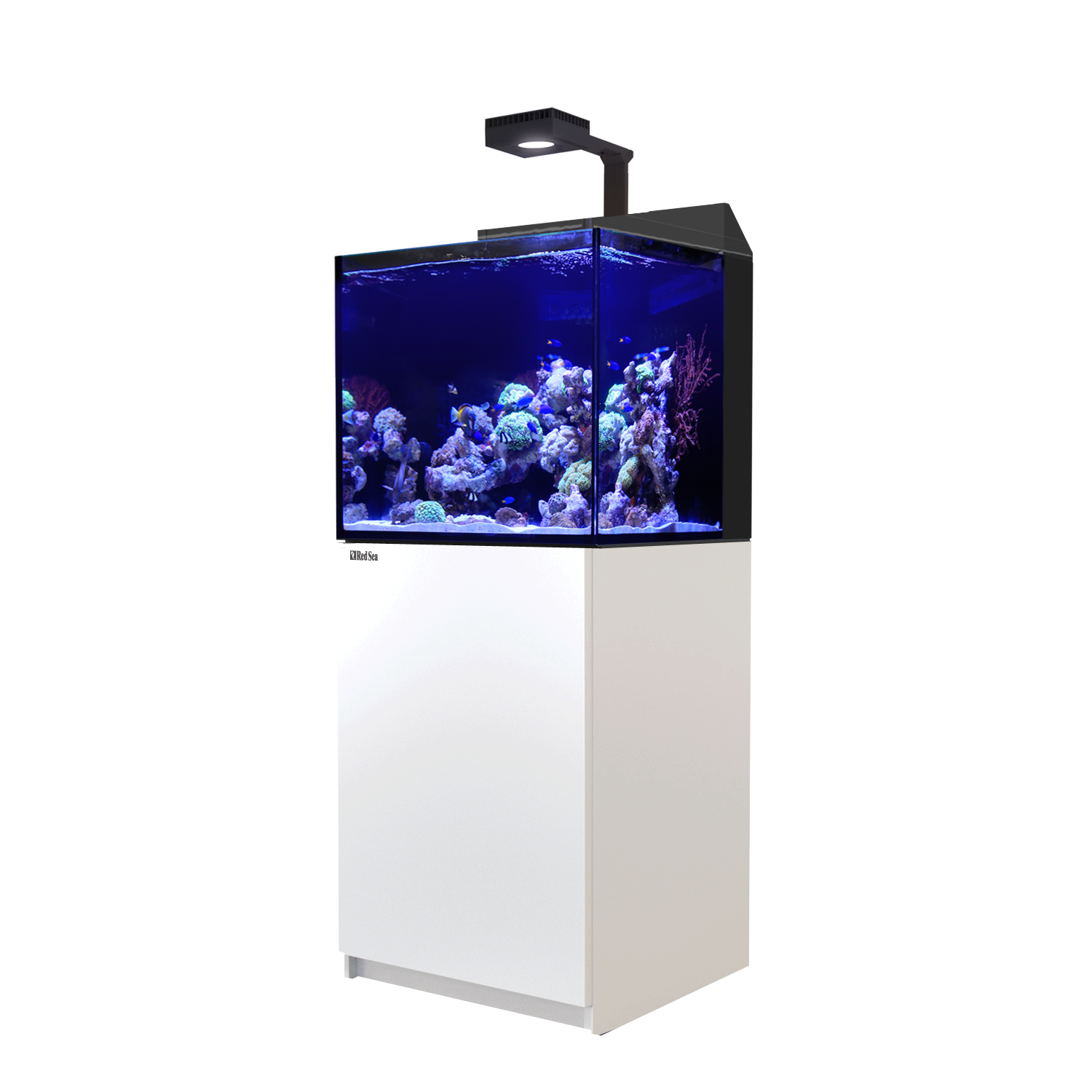 Max E-170 ReefLED Reef System