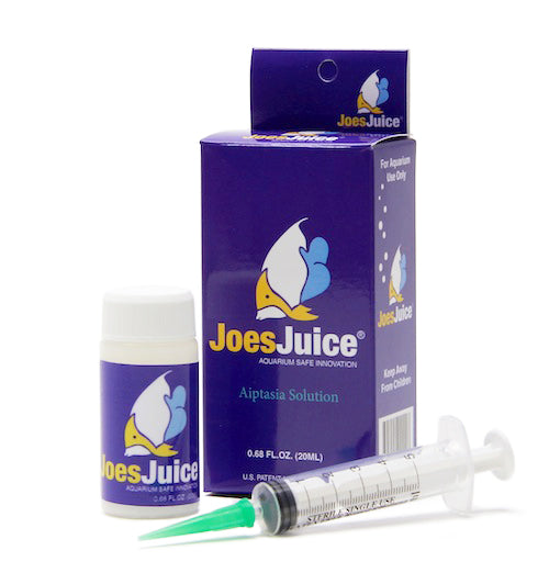 JoesJuice Aiptasia Solution 20ml