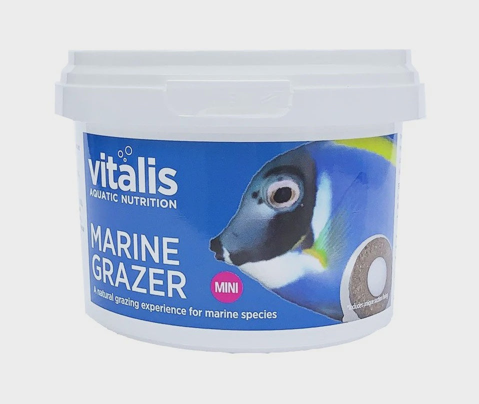 Marine Grazer Mini